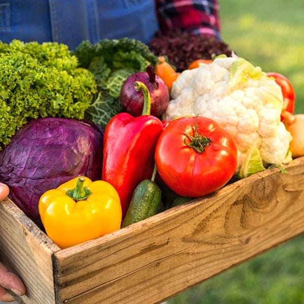 Olympia Farmers Market Returns to “High Season” Schedule